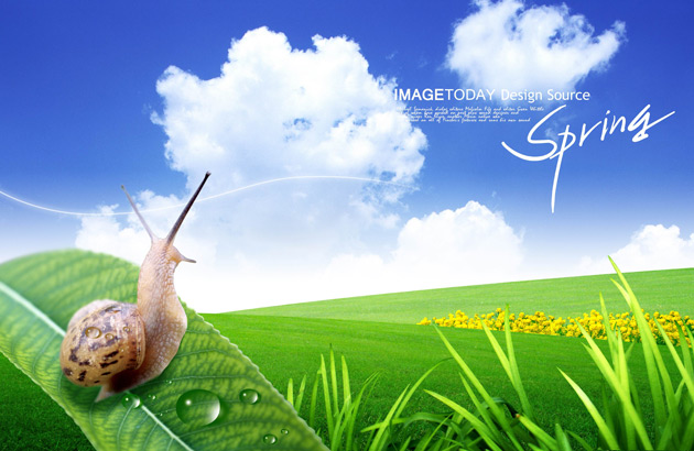 Landscape Business Card PSD Landscape Business Card PSD