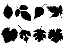 Leaf Silhouette Vector Free