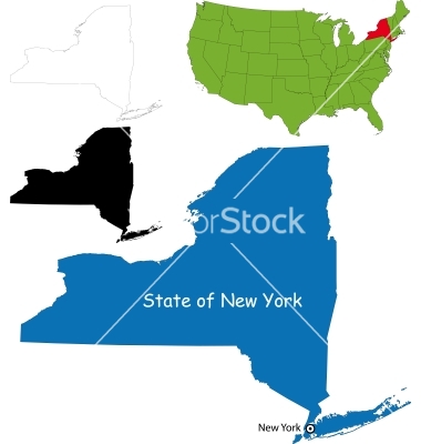 New York Map Vector