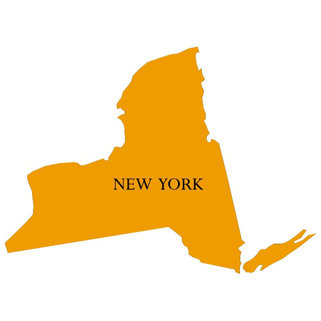 New York State Map Vector Free