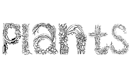 Plants Letters Font Free