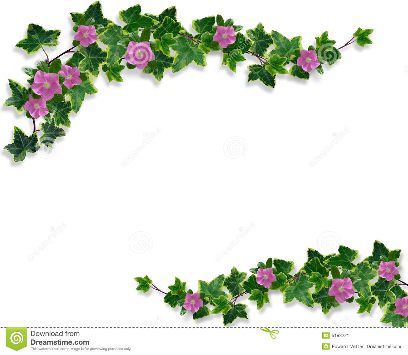 Simple Floral Border Design