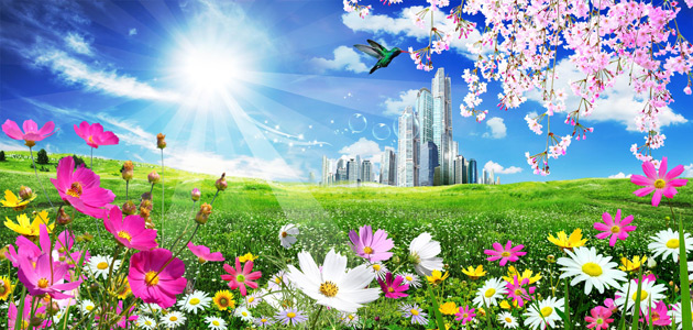 Spring Flowers Landscape Spring Flowers Landscape