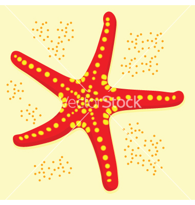 Starfish Vector Art