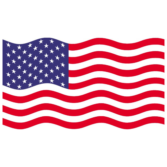 USA Flag Vector
