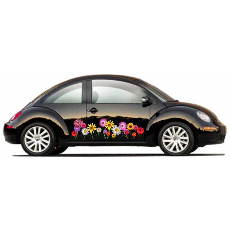 VW Beetle Graphics Kit