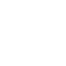 White iPhone Icon