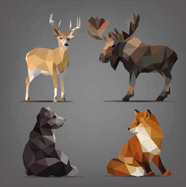 Wild Animals Geometric Shapes