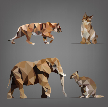 Wild Animals Geometric Shapes