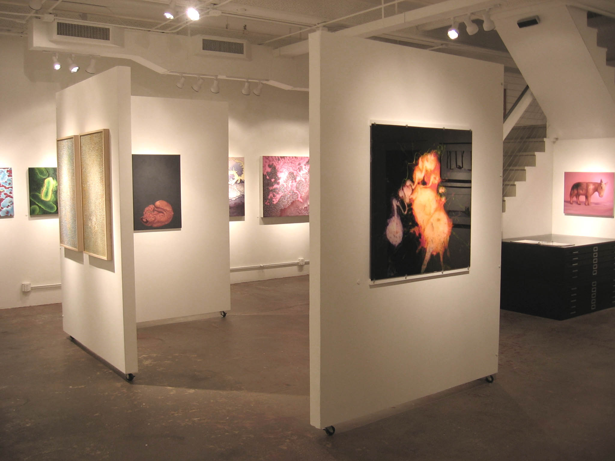 Art Gallery Interiors Art Gallery Interiors