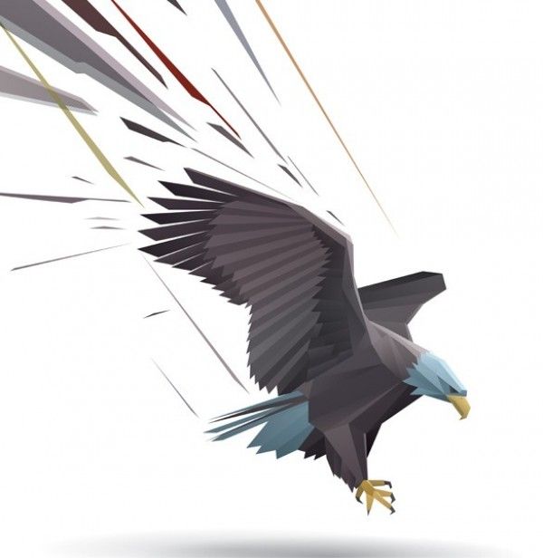 Bald Eagle Landing Vector