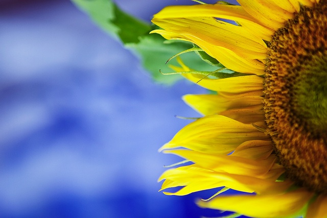 Best Royalty Free Stock Photography Sites Best Royalty Free Stock Photography Sites