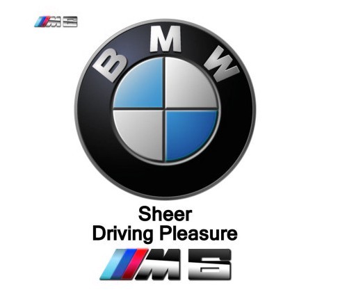 BMW M Logo Vector
