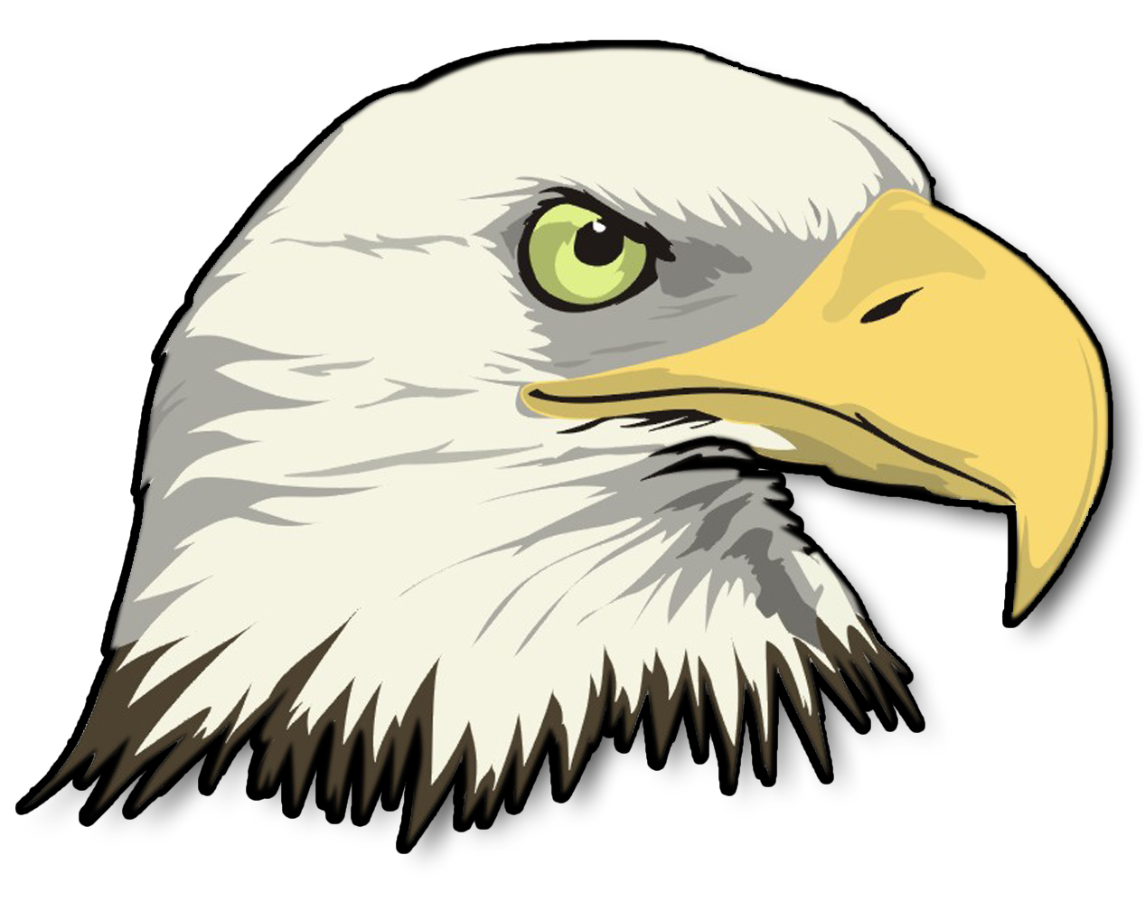 Cartoon Bald Eagle Head Drawing
