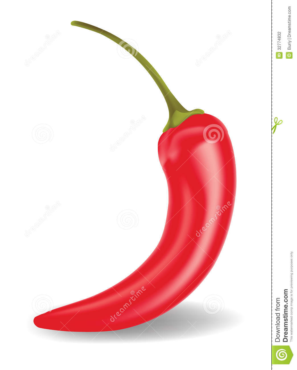 Chili Pepper Vector