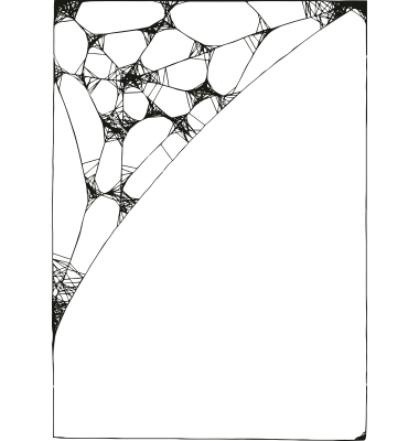 Corner Spider Web Vector