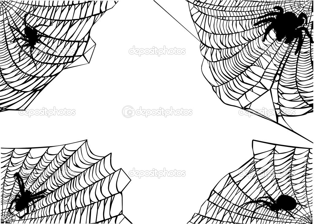 Corner Spider Web Vector