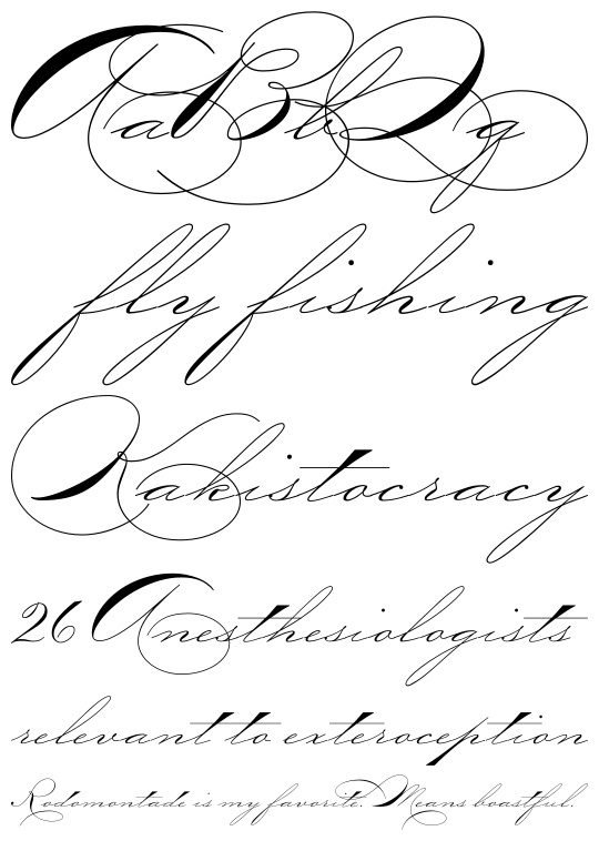 Elegant Script Fonts