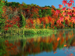 Fall Theme Screensavers Fall Theme Screensavers