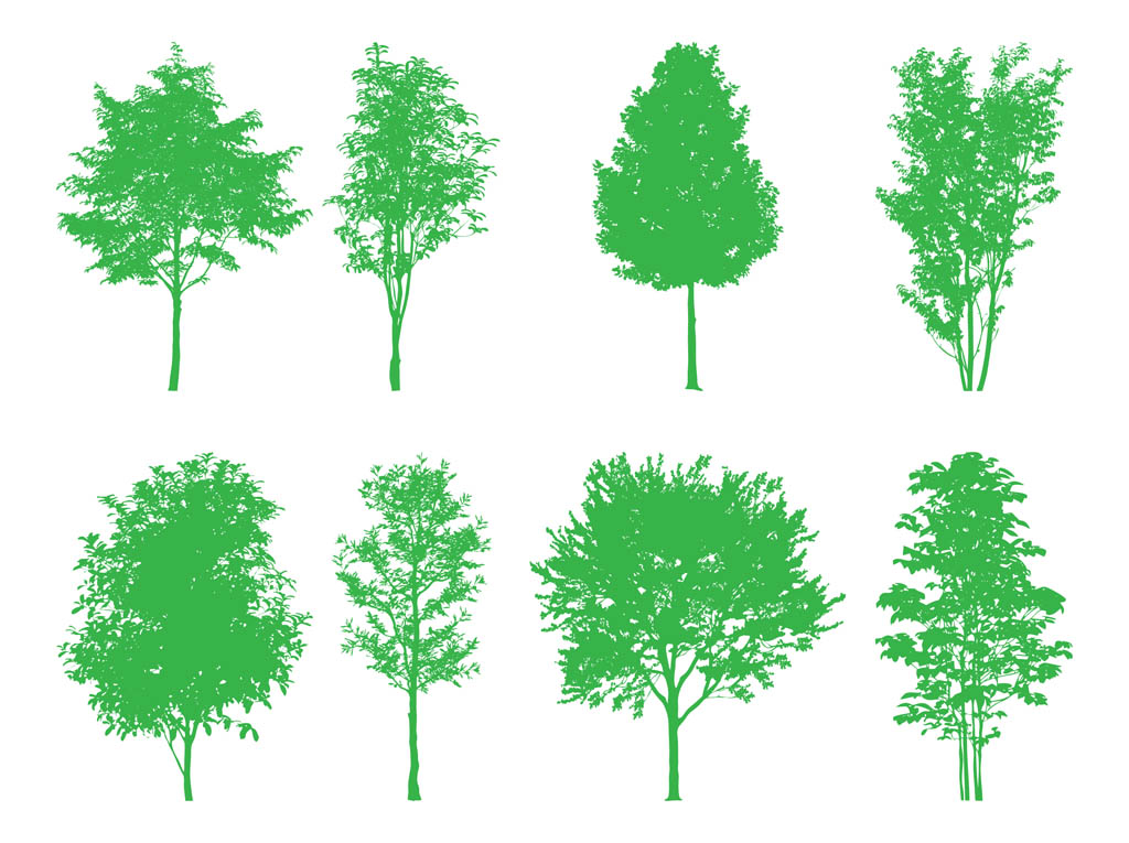 Forest Silhouette Tree Vector