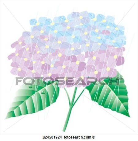 Free Hydrangea Clip Art