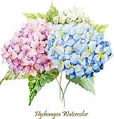 Free Hydrangea Clip Art