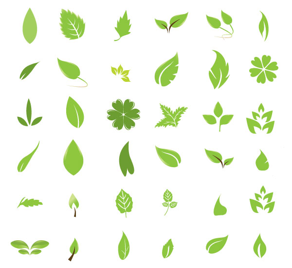 Free Vector Leaf