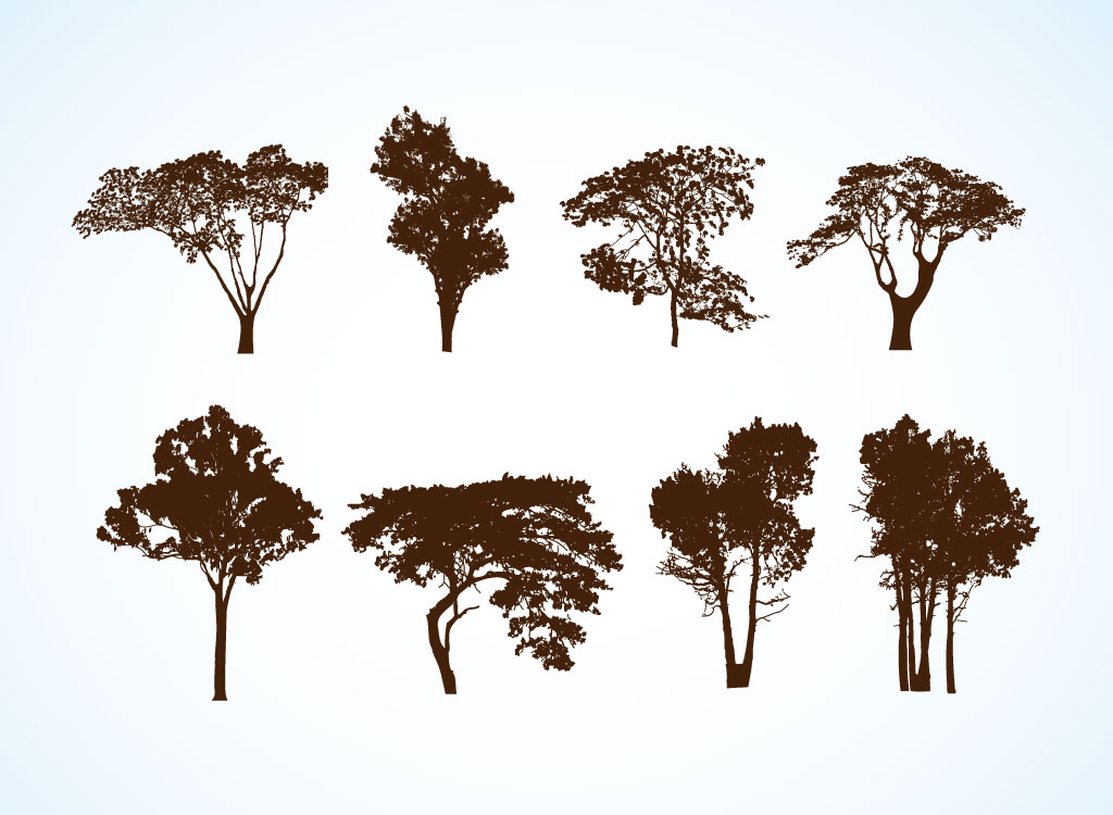 17 Free Vector Tree Forest Images