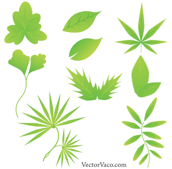 Green Leaf Vector Free Download