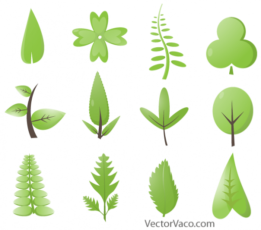 Green Leaves Vector
