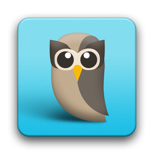 HootSuite Icon