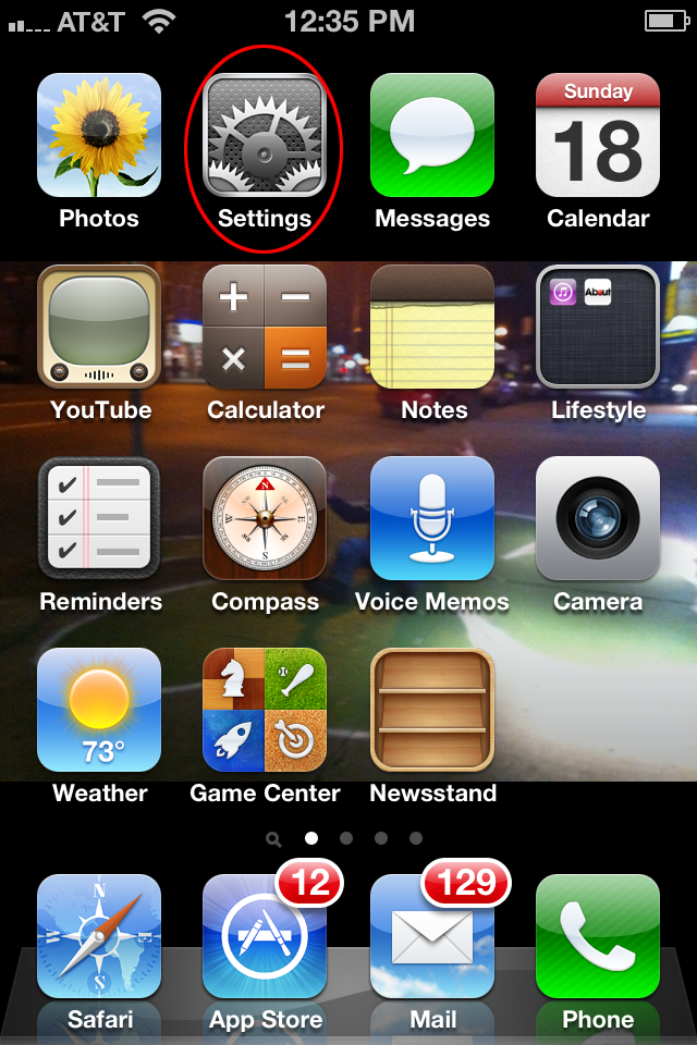 iPhone Safari Screen