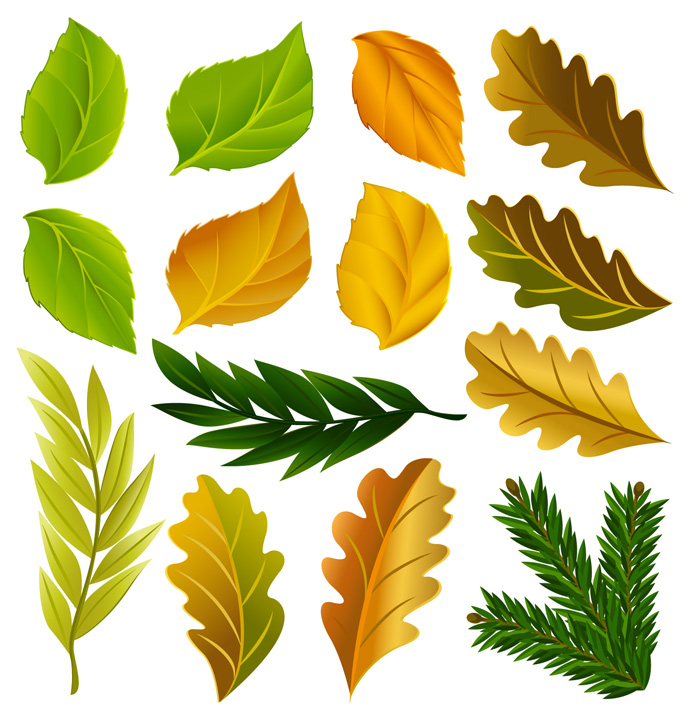 Leaves Free Vector Graphics