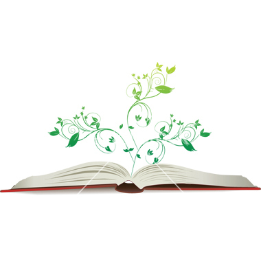 Open Book Vector