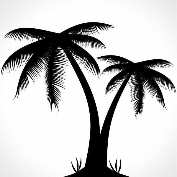 Palm Tree Silhouette