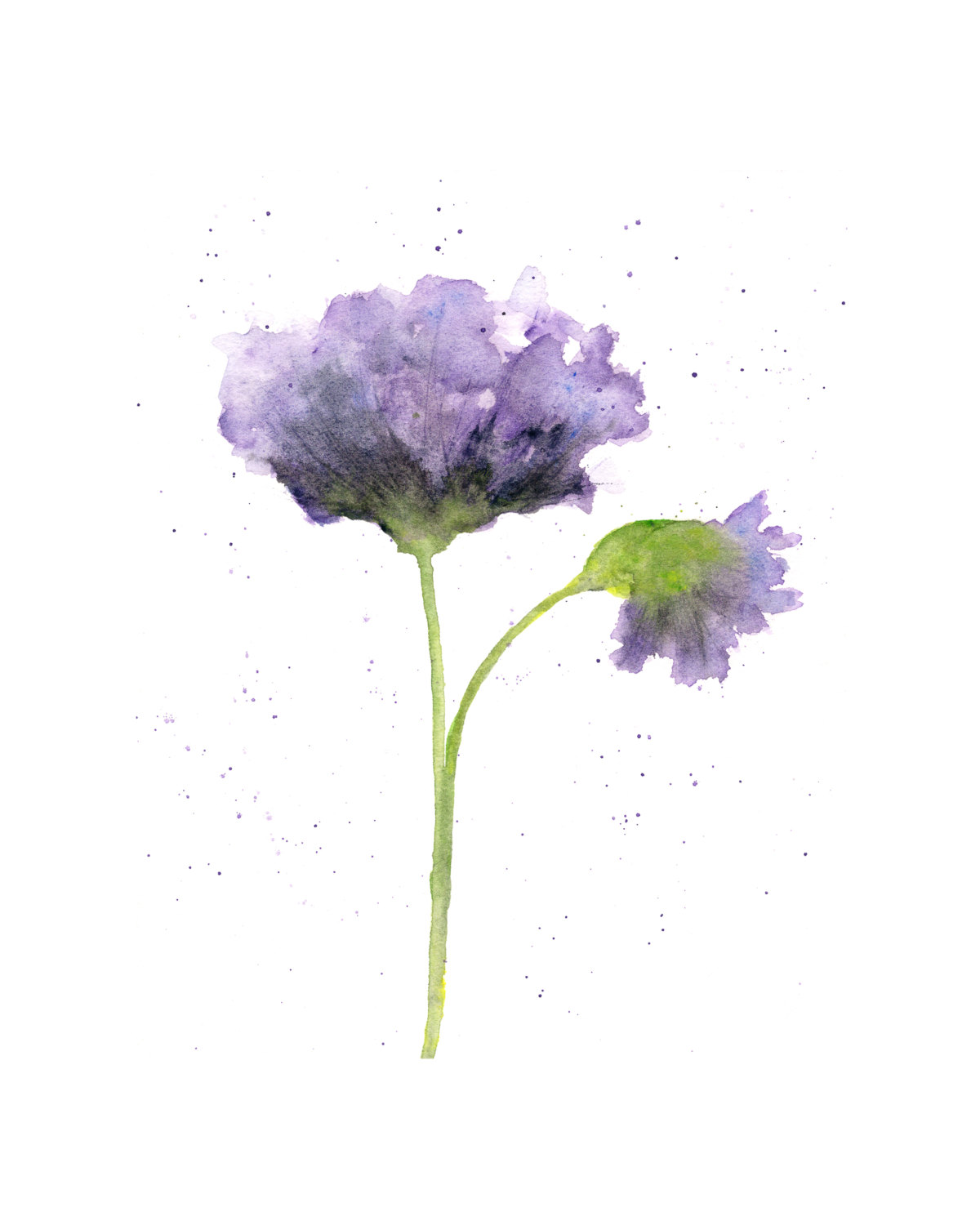 Purple Flower Watercolor