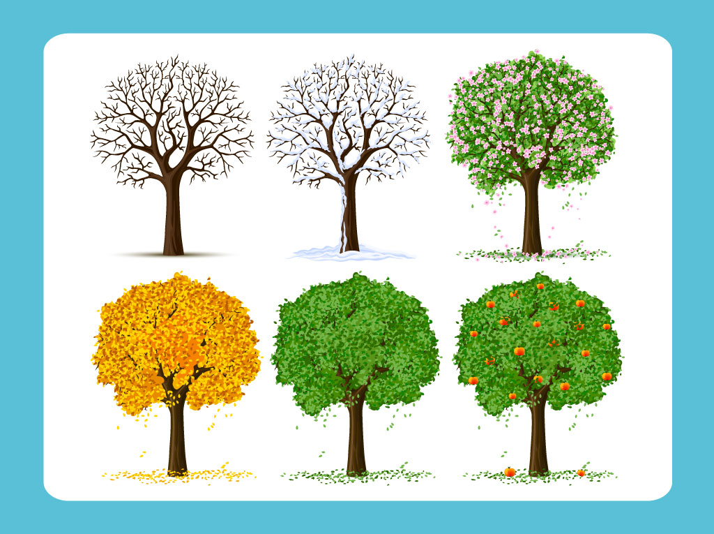 Seasons Tree Vector