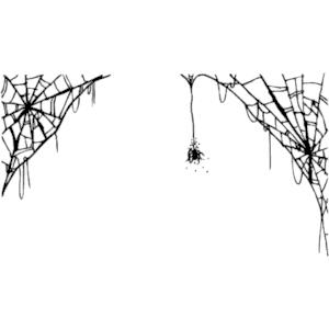 Spider Web Border