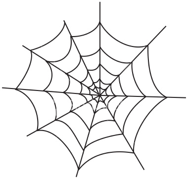 Spider Web Vector