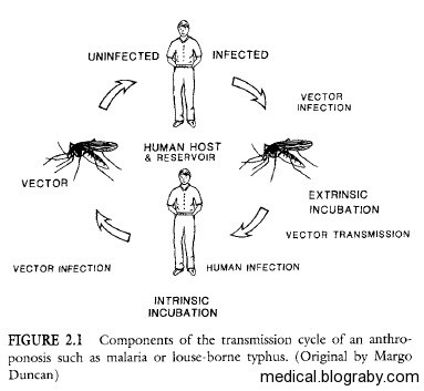 Vector-Borne Transmission Disease