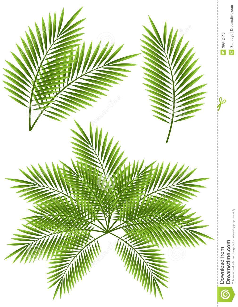 Vector Palm Leaves