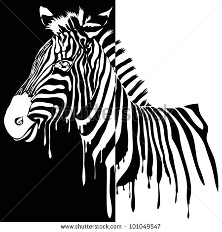 Black and White Zebra Vector