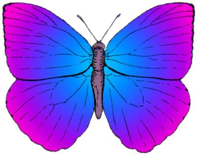 Butterfly PSD