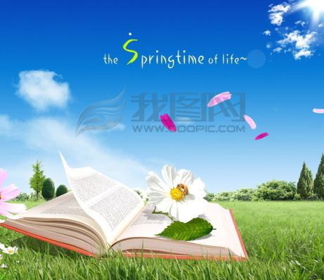Cartoon Flowers with Grass and Sky Cartoon Flowers with Grass and Sky