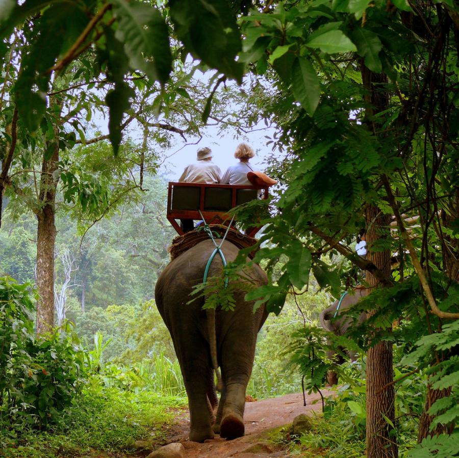 Chiang Mai Thailand Elephant Rides