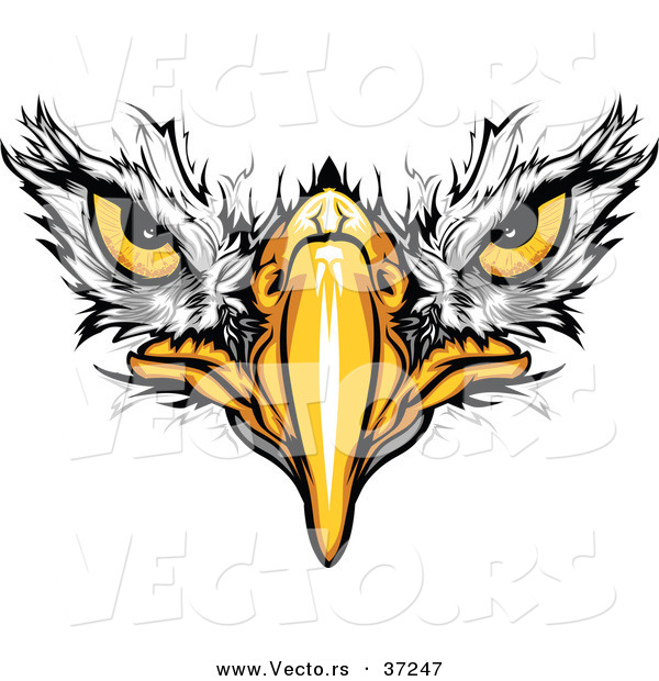 Eagle Face Clip Art
