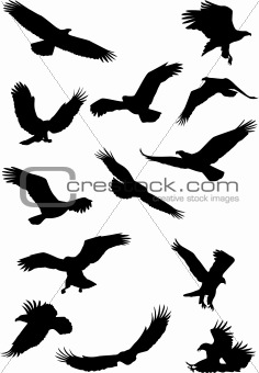 Eagle Silhouette Tattoo