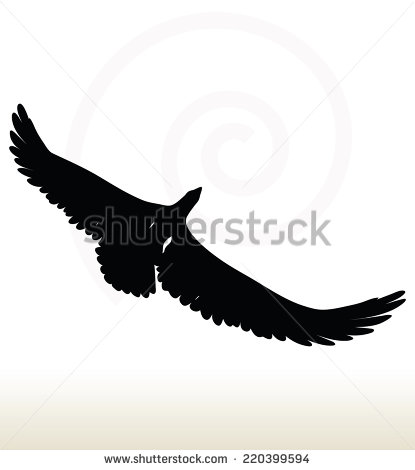 Eagle Vector Illustration