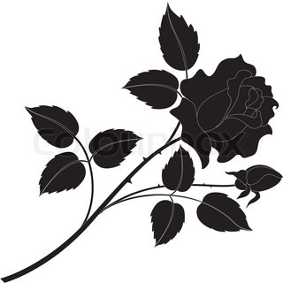 Flower Stem Black and White Roses