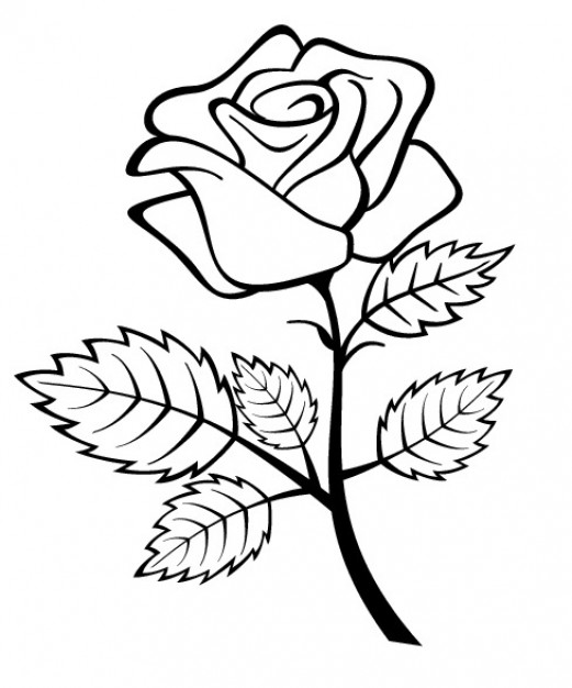 Free Rose Outline Vectors